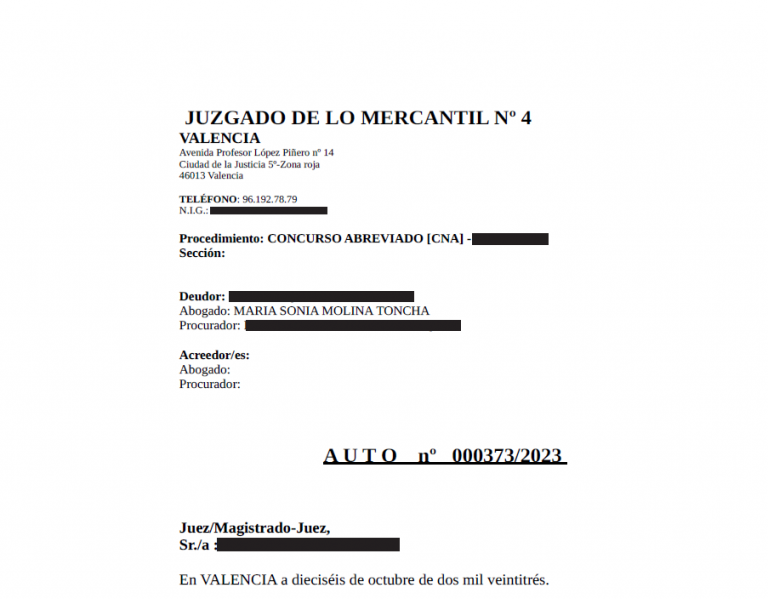 Saldo deuda de 258.189,48 euros por Ley de Segunda Oportunidad